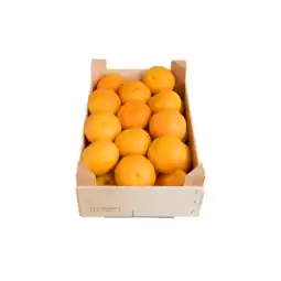 Dirk Kistje mandarijnen aanbieding