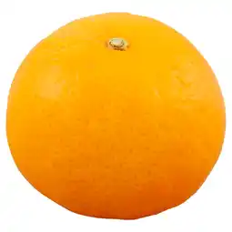 Dirk Kistje mandarijnen aanbieding