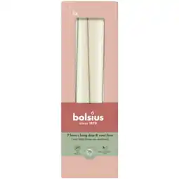Albert Heijn Bolsius Gotische kaarsen soft pearl 24cm aanbieding