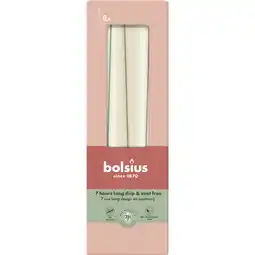 Albert Heijn Bolsius Gotische kaarsen soft pearl 24cm aanbieding