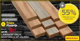 Praxis Laminaat gala, montmelo of vilano aanbieding