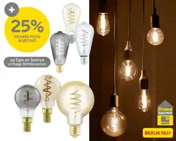Praxis Op Eglo en Sencys vintage lichtbronnen aanbieding