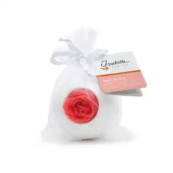 Douglas Isabelle Laurier Badbruisbal Suprise Me in organza zakje - Soft Musk aanbieding