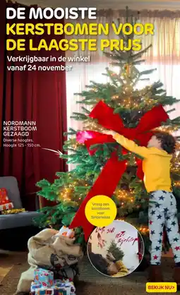 Praxis Nordmann kerstboom gezaagd aanbieding