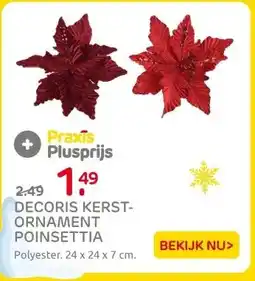 Praxis Decoris Kerst Ornament Poinsettia aanbieding