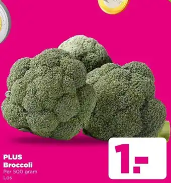 PLUS PLUS Broccoli aanbieding