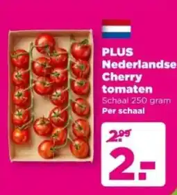 PLUS PLUS Nederlandse Cherry tomaten aanbieding