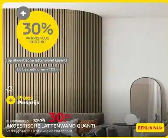Praxis Op Akoestische lattenwand quanti aanbieding