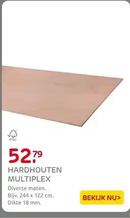 Praxis Hardhouten multiplex aanbieding