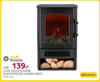 Praxis LIVN Vrijstaande elektrische haard kent aanbieding