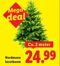 Lidl Nordmann kerstboom aanbieding