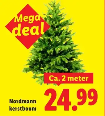 Lidl Nordmann kerstboom aanbieding