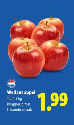 Lidl Wellant appel aanbieding