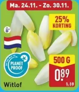 ALDI Witlof aanbieding