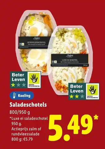 Lidl Saladeschotels aanbieding