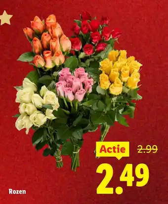 Lidl Rozen aanbieding