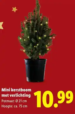 Lidl Mini kerstboom met verlichting aanbieding