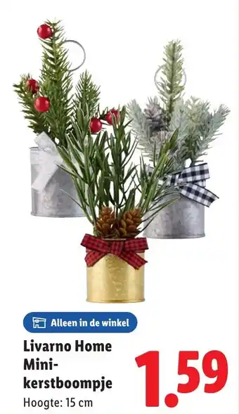 Lidl Livarno Home Mini kerstboompje aanbieding