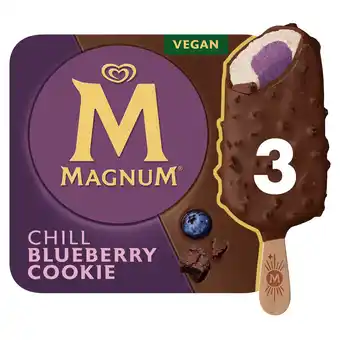 PLUS Magnum Chill aanbieding
