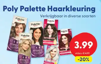 Die Grenze Poly Palette Haarkleuring aanbieding