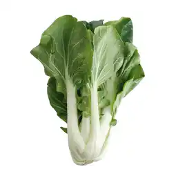 Dirk 1 de Beste Paksoi aanbieding