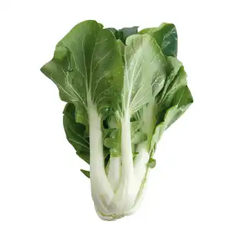 Dirk 1 de Beste Paksoi aanbieding