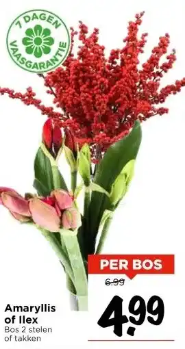 Vomar Voordeelmarkt Amaryllis of Ilex Bos aanbieding