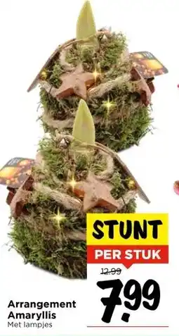 Vomar Voordeelmarkt Arrangement Amaryllis aanbieding
