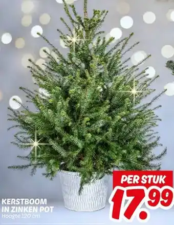 Dekamarkt KERSTBOOM IN ZINKEN POT aanbieding