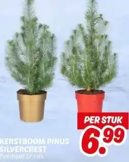 Dekamarkt KERSTBOOM PINUS SILVERCREST aanbieding