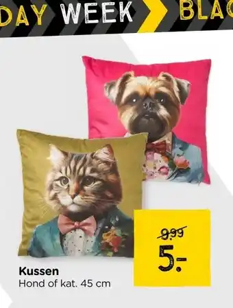 Xenos Kussen aanbieding