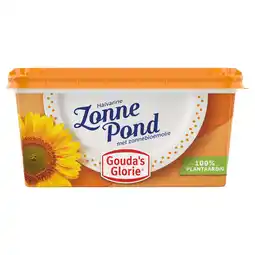 Dekamarkt Gouda's Glorie Zonne pond aanbieding