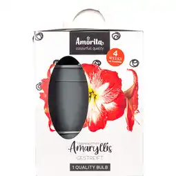 Dekamarkt Amaryllis bol in kadodoos aanbieding