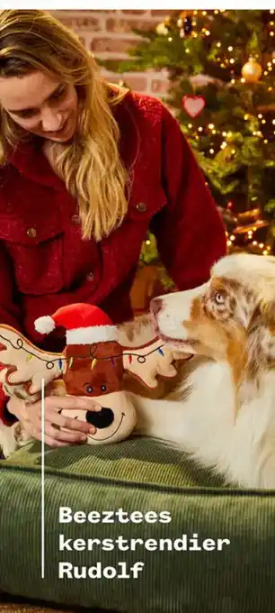 Welkoop Beeztees kerstrendier Rudolf aanbieding