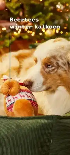 Welkoop Beeztees winter kalkoen aanbieding