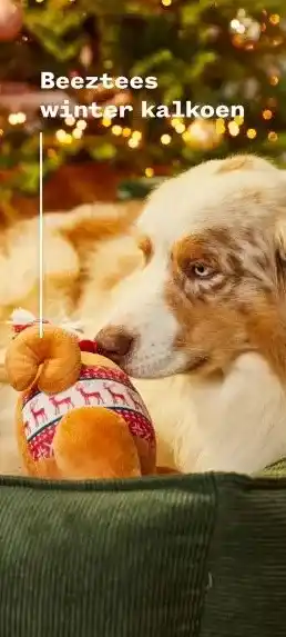 Welkoop Beeztees winter kalkoen aanbieding