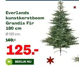 Welkoop Everlands kunstkerstboom Grandis Fir aanbieding