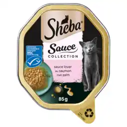 Dirk Sheba Sauce lover zalm aanbieding