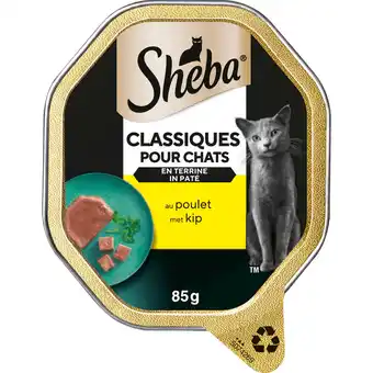 Dirk Sheba Kattenvoer alu pate kip aanbieding