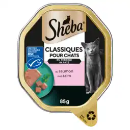 Dirk Sheba classics Paté zalm aanbieding