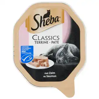 Dirk Sheba classics Paté zalm aanbieding