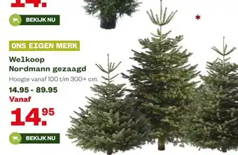 Welkoop Welkoop Nordmann gezaagd aanbieding