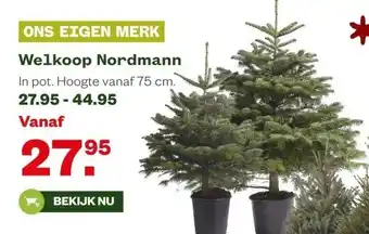 Welkoop Welkoop Nordmann aanbieding
