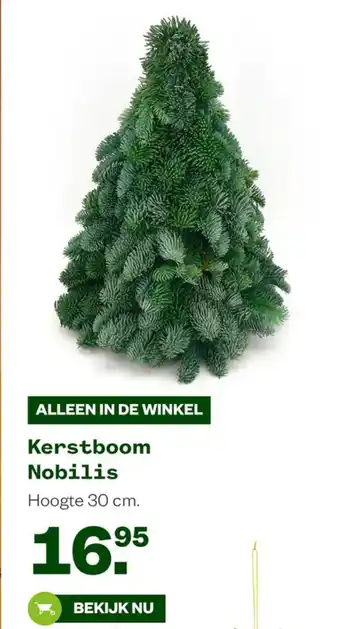 Welkoop Kerstboom Nobilis aanbieding