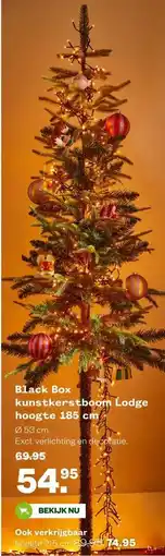 Welkoop Black Box kunstkerstboom Lodge aanbieding