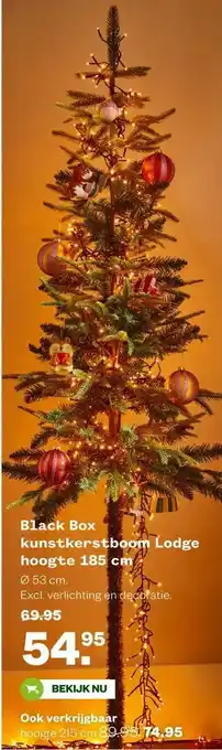 Welkoop Black Box kunstkerstboom Lodge aanbieding
