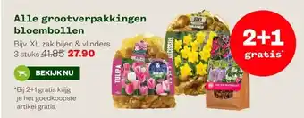 Welkoop Alle grootverpakkingen bloembollen aanbieding