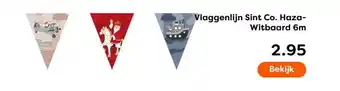 The Read Shop Vlaggenlijn Sint Co. Haza-Witbaard 6m aanbieding