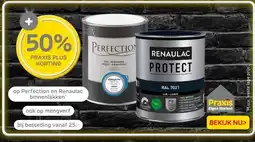 Praxis op Perfection en Renaulac binnenlakken aanbieding