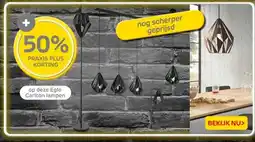 Praxis op deze Eglo Carlton lampen aanbieding